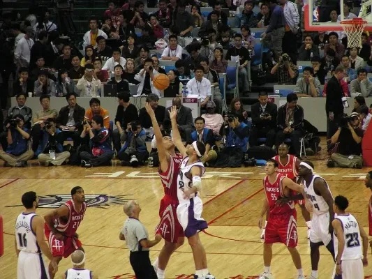 援的成败 援的成败