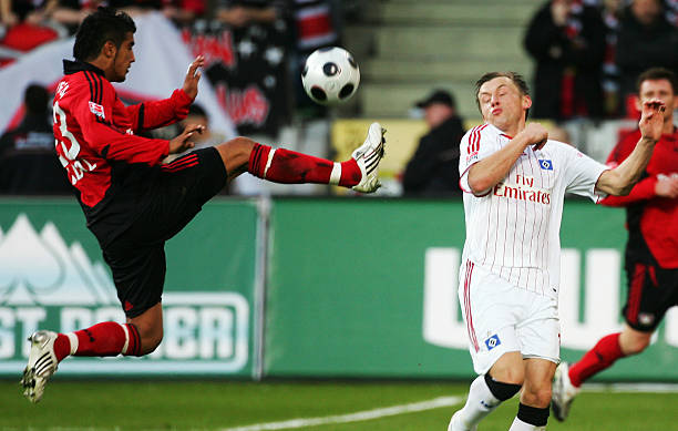 不仅促进了 不仅促进了